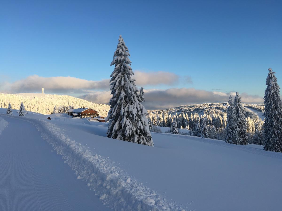 Berggasthof-Pension Todtnauer Hutte Feldberg  Exteriör bild
