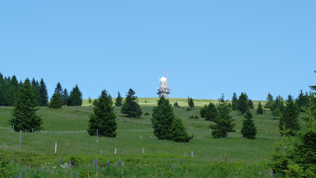 Berggasthof-Pension Todtnauer Hutte Feldberg  Exteriör bild