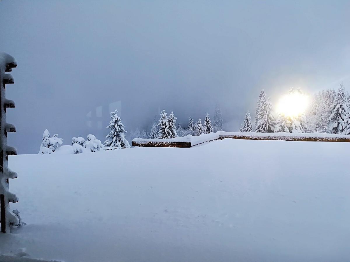 Berggasthof-Pension Todtnauer Hutte Feldberg  Exteriör bild