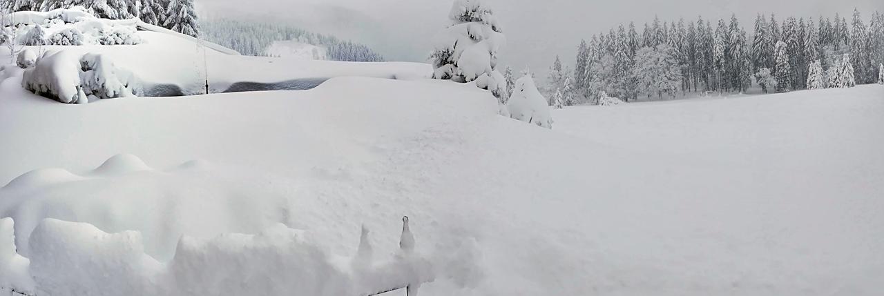 Berggasthof-Pension Todtnauer Hutte Feldberg  Exteriör bild