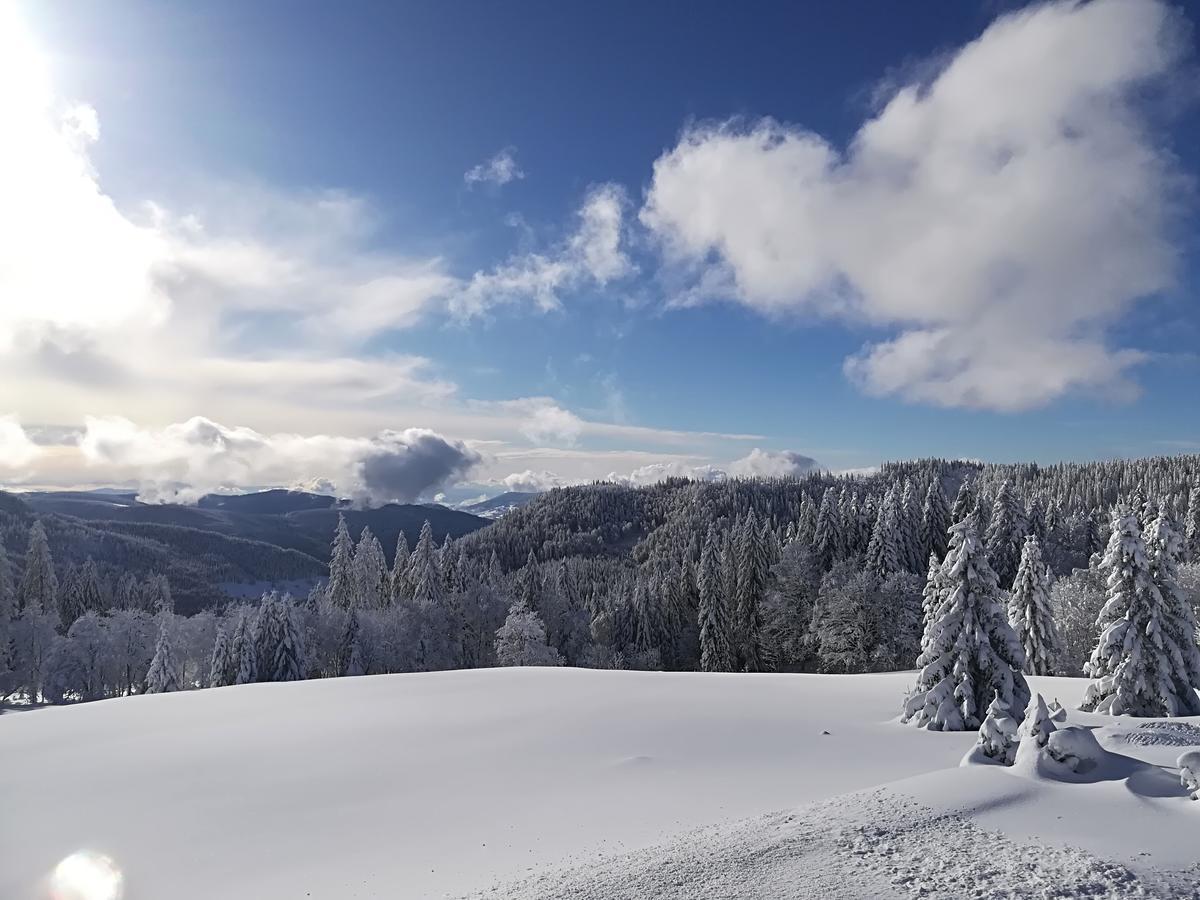 Berggasthof-Pension Todtnauer Hutte Feldberg  Exteriör bild